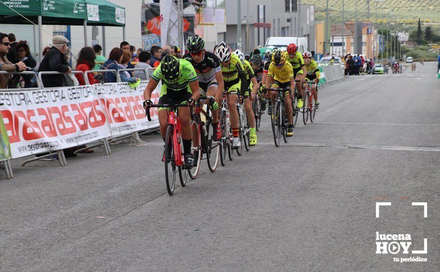 GALERÍA: El polígono de Pilar de la Dehesa acogió el III Trofeo José Mª Sánchez Raya de ciclismo base, con mas de 130 corredores andaluces GALERÍA: El polígono de Pilar de la Dehesa acogió el III Trofeo José Mª Sánchez Raya de ciclismo base, con mas de 130 corredores andaluces