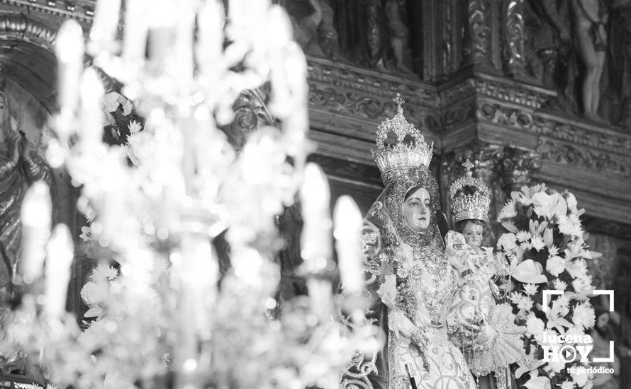 GALERÍA: Fiestas Aracelitanas 2017 / El Pregón de las Glorias de María Stma. de Araceli GALERÍA: Fiestas Aracelitanas 2017 / El Pregón de las Glorias de María Stma. de Araceli