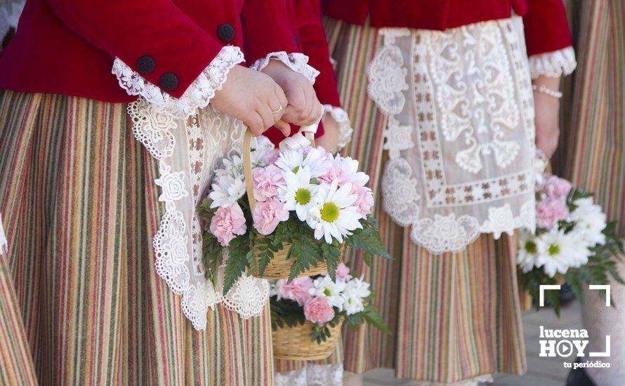 GALERÍA: Fiestas Aracelitanas 2017 / La Ofrenda de Flores ante María Stma. de Araceli