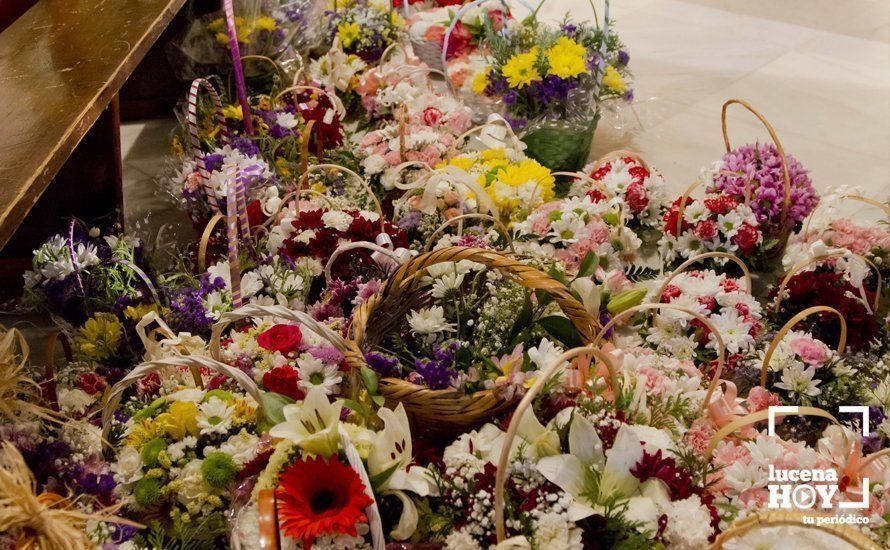 GALERÍA: Fiestas Aracelitanas 2017 / La Ofrenda de Flores ante María Stma. de Araceli