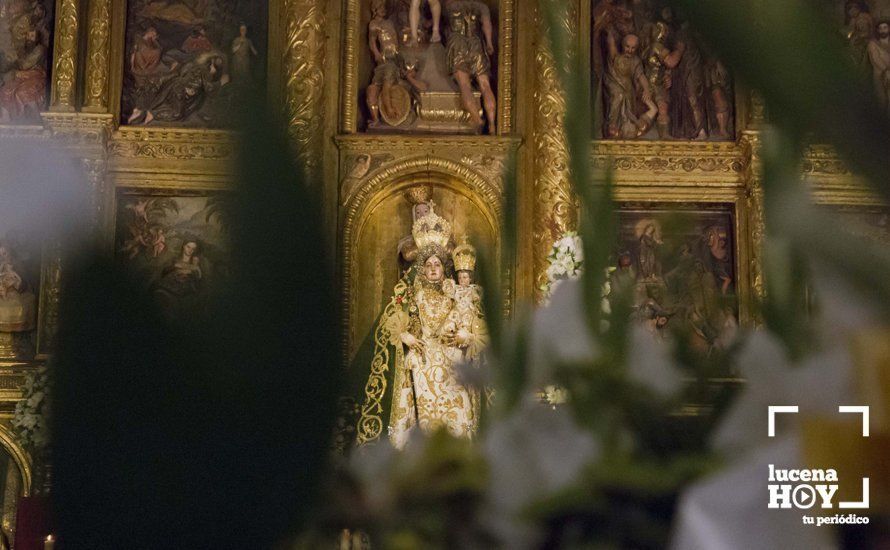 GALERÍA: Fiestas Aracelitanas 2017 / La Ofrenda de Flores ante María Stma. de Araceli