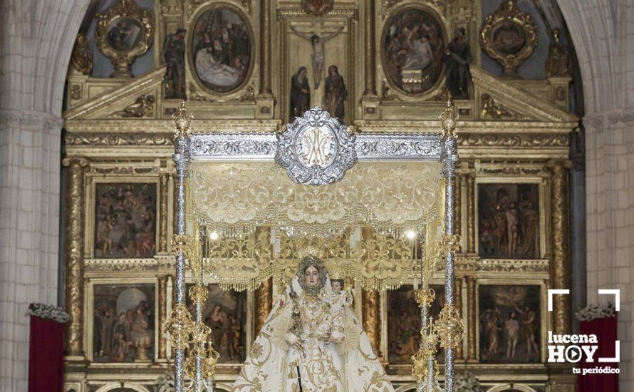 GALERÍA: Fiestas Aracelitanas 2017 / La Procesión de la Virgen de Araceli GALERÍA: Fiestas Aracelitanas 2017 / La Procesión de la Virgen de Araceli
