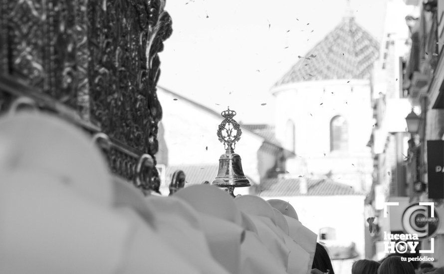 GALERÍA: Fiestas Aracelitanas 2017 / La Procesión de la Virgen de Araceli GALERÍA: Fiestas Aracelitanas 2017 / La Procesión de la Virgen de Araceli