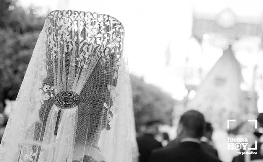 GALERÍA: Fiestas Aracelitanas 2017 / La Procesión de la Virgen de Araceli GALERÍA: Fiestas Aracelitanas 2017 / La Procesión de la Virgen de Araceli