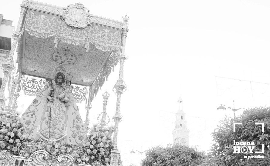 GALERÍA: Fiestas Aracelitanas 2017 / La Procesión de la Virgen de Araceli