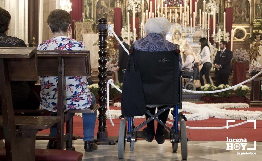 GALERÍA: Multitudinaria participación en el Solemne Besamanos de la Virgen de Araceli en la parroquia de San Mateo