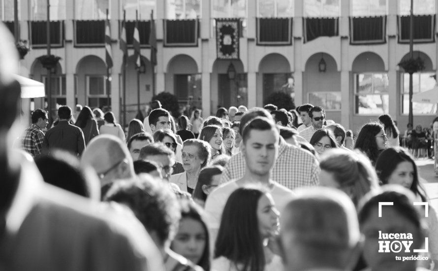 GALERÍA: Multitudinaria participación en el Solemne Besamanos de la Virgen de Araceli en la parroquia de San Mateo