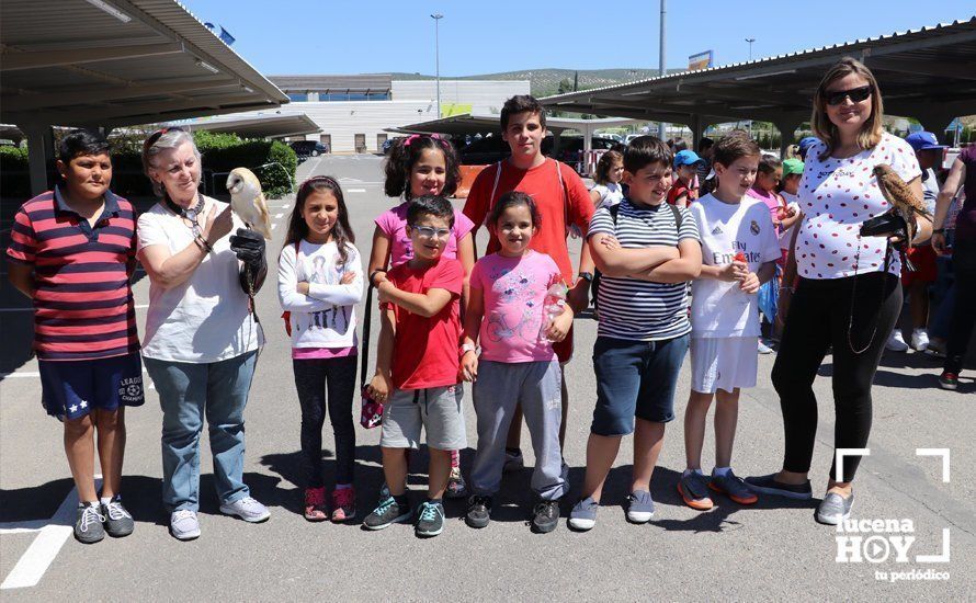 GALERÍA: Carrefour Lucena acerca el arte de la cetrería y el mundo del perro a un centenar de escolares lucentinos