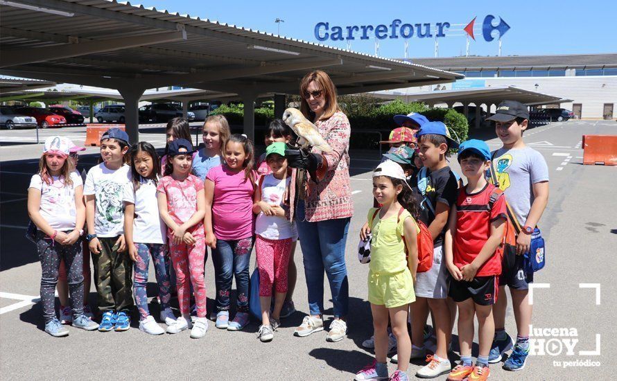 GALERÍA: Carrefour Lucena acerca el arte de la cetrería y el mundo del perro a un centenar de escolares lucentinos