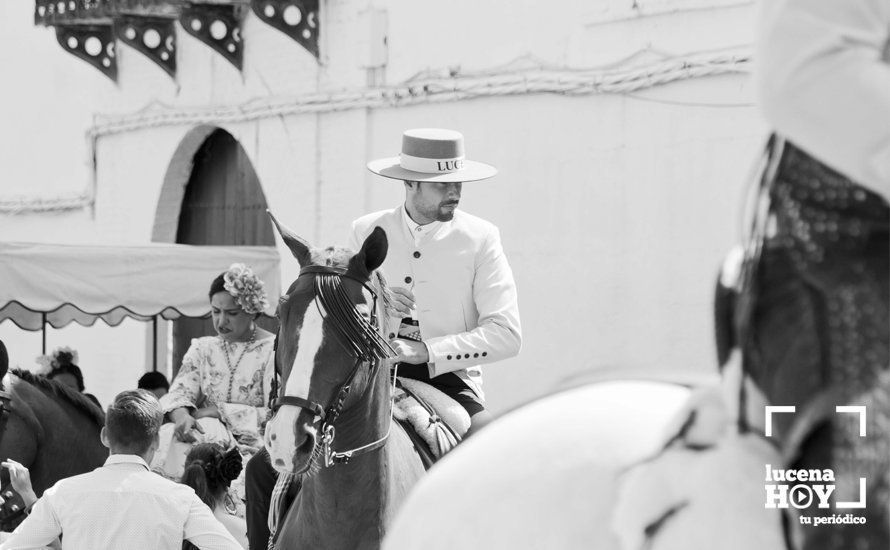 GALERÍA: La Hermandad del Rocío de Lucena parte hacia tierras almonteñas al ritmo de sevillanas a flauta y tamboril GALERÍA: La Hermandad del Rocío de Lucena parte hacia tierras almonteñas al ritmo de sevillanas a flauta y tamboril