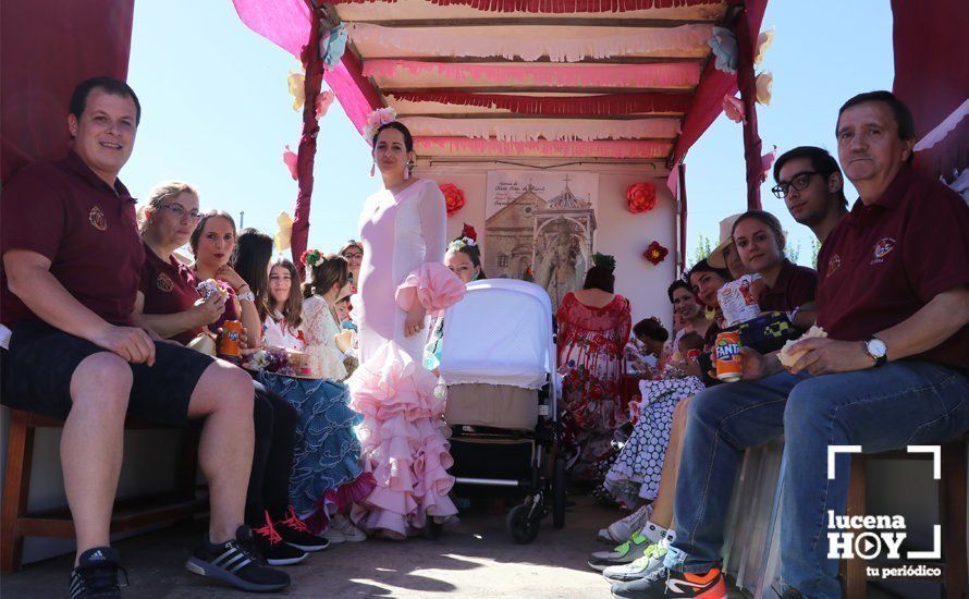 GALERÍA: Quince carrozas para acompañar a la Virgen de Araceli