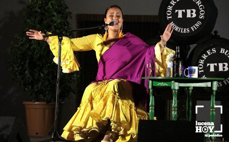 GALERÍA: Un llanete repleto disfruta del Festival Flamenco "Curro Lucena" en el primer día de la Feria de Santiago