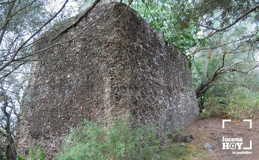 Una de las estructuras de la ciudad íbero-romana de Morana, cuya compra se certificará en los próximos meses