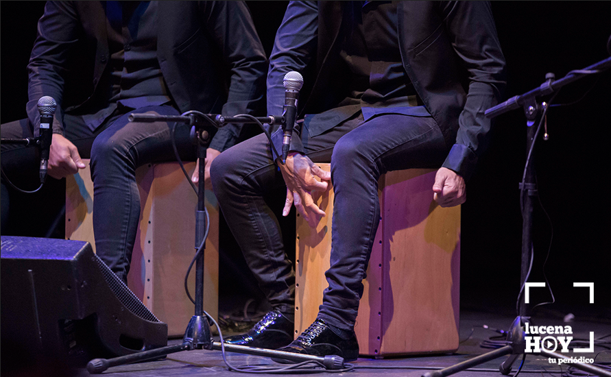 GALERÍA: Rancapino Chico cierra hoy el primer tramo de las X Jornadas de Arte Flamenco, por las que ya han pasado Dani de Morón y Planeta Jondo GALERÍA: Rancapino Chico cierra hoy el primer tramo de las X Jornadas de Arte Flamenco, por las que ya han pasado Dani de Morón y Planeta Jondo