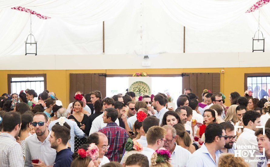 GALERÍA: Feria de día: Del real a las casetas pasando por el paseo de caballos en 80 imágenes GALERÍA: Feria de día: Del real a las casetas pasando por el paseo de caballos en 80 imágenes