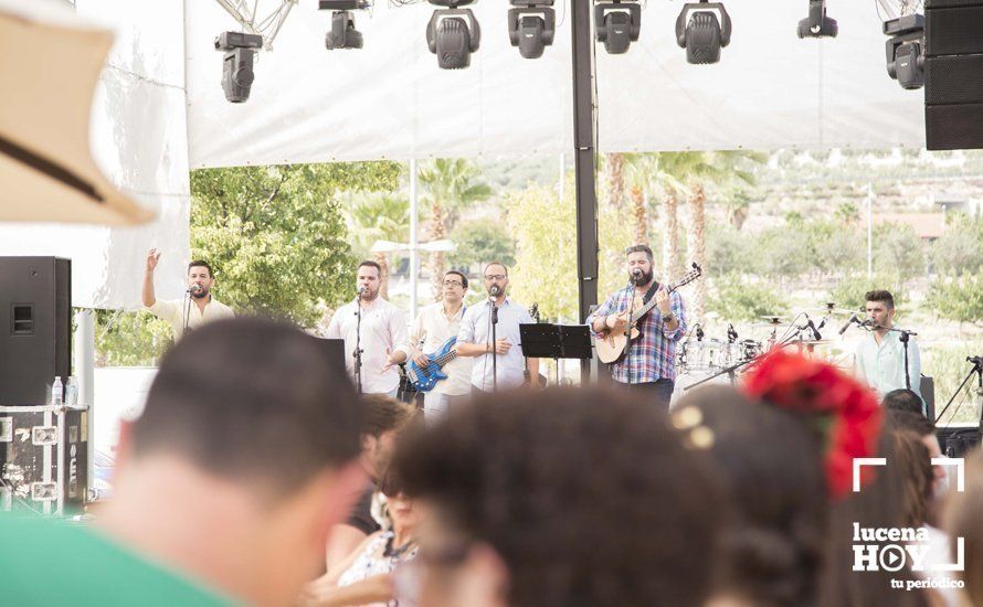 GALERÍA: Feria de día: Del real a las casetas pasando por el paseo de caballos en 80 imágenes GALERÍA: Feria de día: Del real a las casetas pasando por el paseo de caballos en 80 imágenes