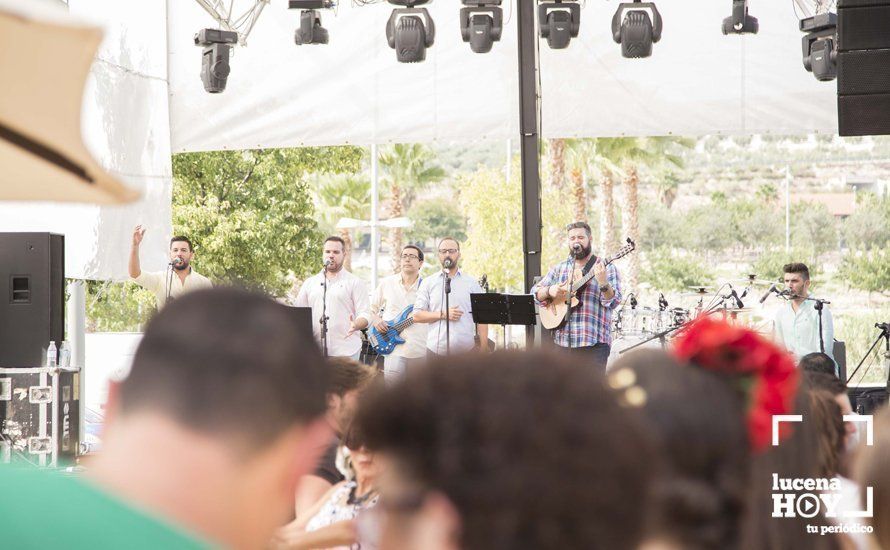 GALERÍA: Feria de día: Del real a las casetas pasando por el paseo de caballos en 80 imágenes