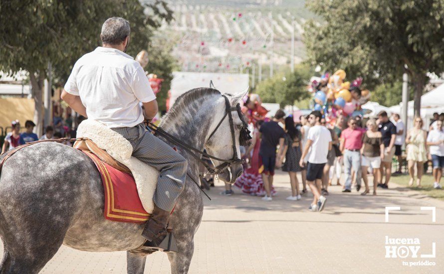 GALERÍA: Feria de día: Del real a las casetas pasando por el paseo de caballos en 80 imágenes