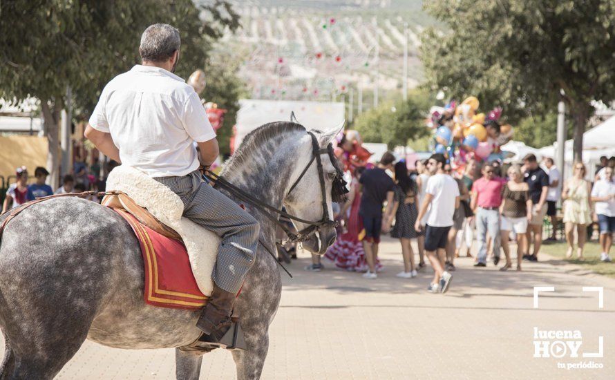 GALERÍA: Feria de día: Del real a las casetas pasando por el paseo de caballos en 80 imágenes GALERÍA: Feria de día: Del real a las casetas pasando por el paseo de caballos en 80 imágenes