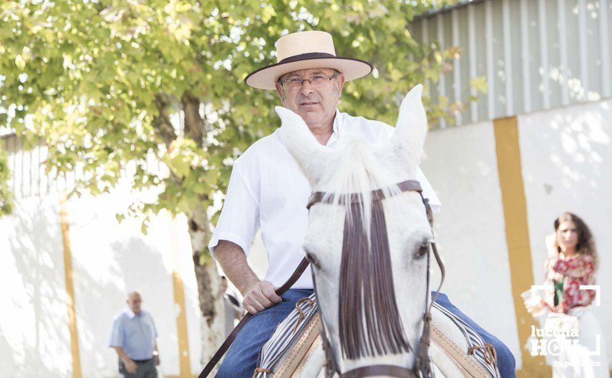 GALERÍA: Feria de día: Del real a las casetas pasando por el paseo de caballos en 80 imágenes