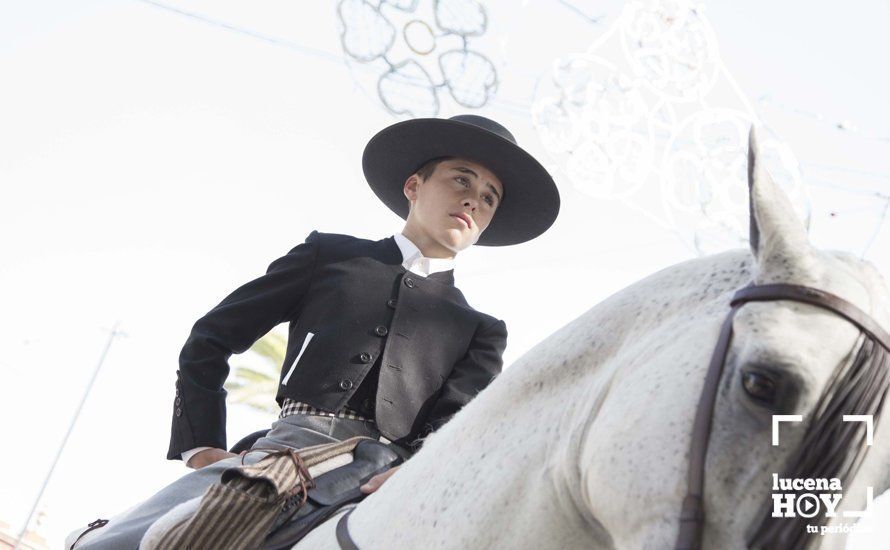 GALERÍA: Feria de día: Del real a las casetas pasando por el paseo de caballos en 80 imágenes GALERÍA: Feria de día: Del real a las casetas pasando por el paseo de caballos en 80 imágenes