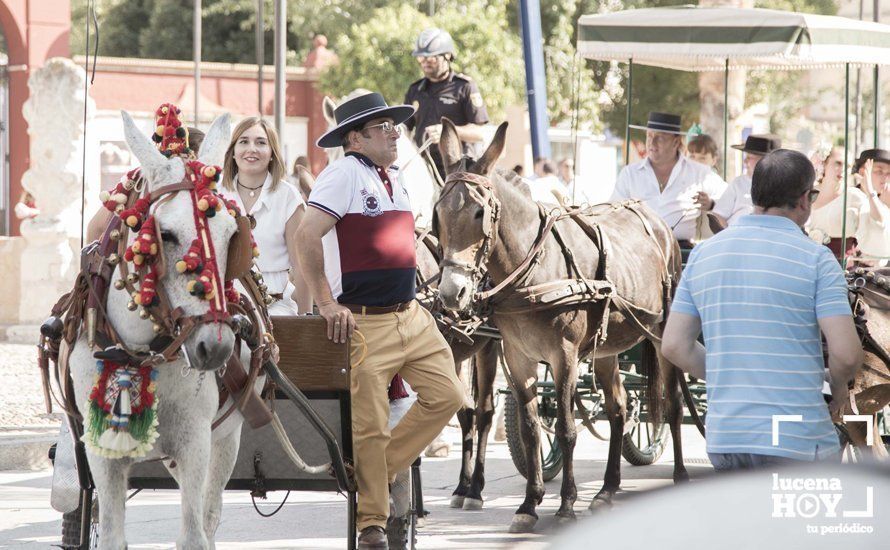 GALERÍA: Feria de día: Del real a las casetas pasando por el paseo de caballos en 80 imágenes