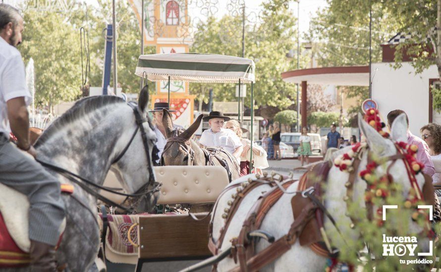 GALERÍA: Feria de día: Del real a las casetas pasando por el paseo de caballos en 80 imágenes