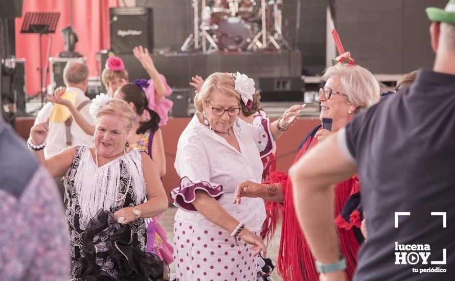GALERÍA: Feria de día: Del real a las casetas pasando por el paseo de caballos en 80 imágenes GALERÍA: Feria de día: Del real a las casetas pasando por el paseo de caballos en 80 imágenes