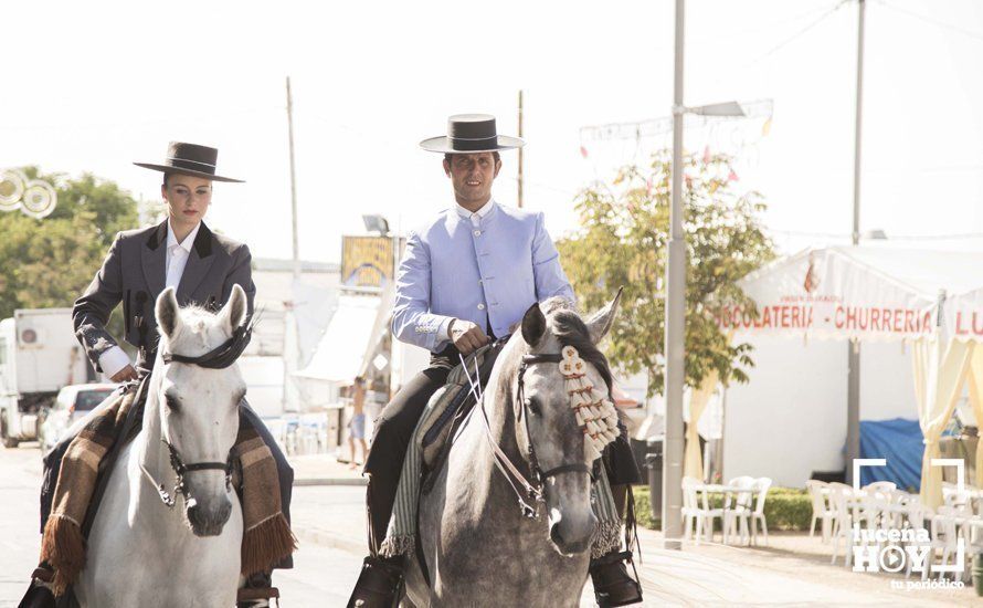 GALERÍA: Feria de día: Del real a las casetas pasando por el paseo de caballos en 80 imágenes GALERÍA: Feria de día: Del real a las casetas pasando por el paseo de caballos en 80 imágenes