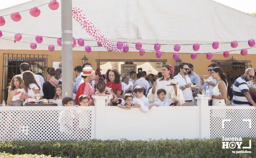 GALERÍA: Feria de día: Del real a las casetas pasando por el paseo de caballos en 80 imágenes GALERÍA: Feria de día: Del real a las casetas pasando por el paseo de caballos en 80 imágenes