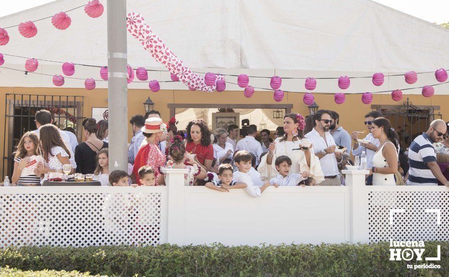 GALERÍA: Feria de día: Del real a las casetas pasando por el paseo de caballos en 80 imágenes