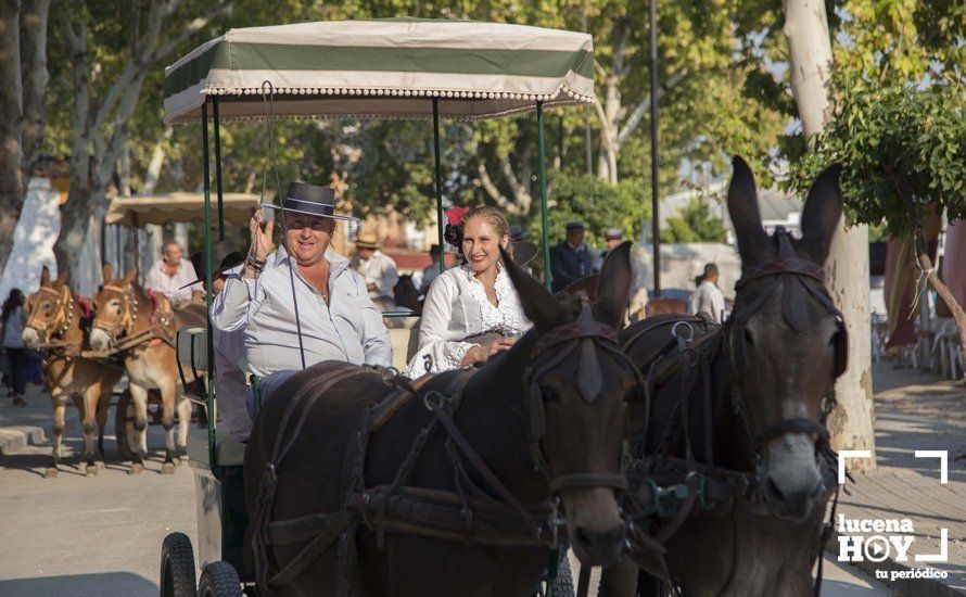 GALERÍA: Feria de día: Del real a las casetas pasando por el paseo de caballos en 80 imágenes