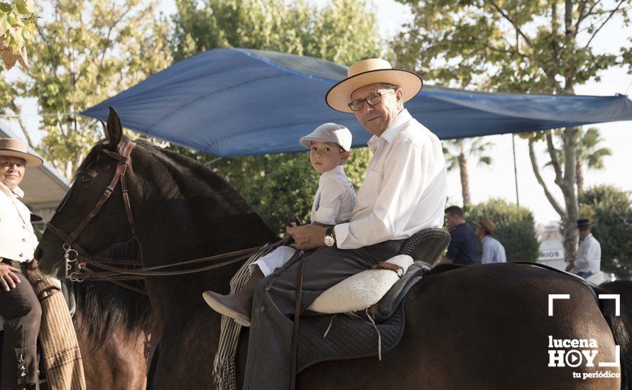 GALERÍA: Feria de día: Del real a las casetas pasando por el paseo de caballos en 80 imágenes