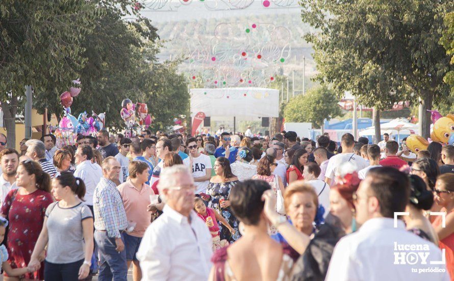 GALERÍA: Feria de día: Del real a las casetas pasando por el paseo de caballos en 80 imágenes