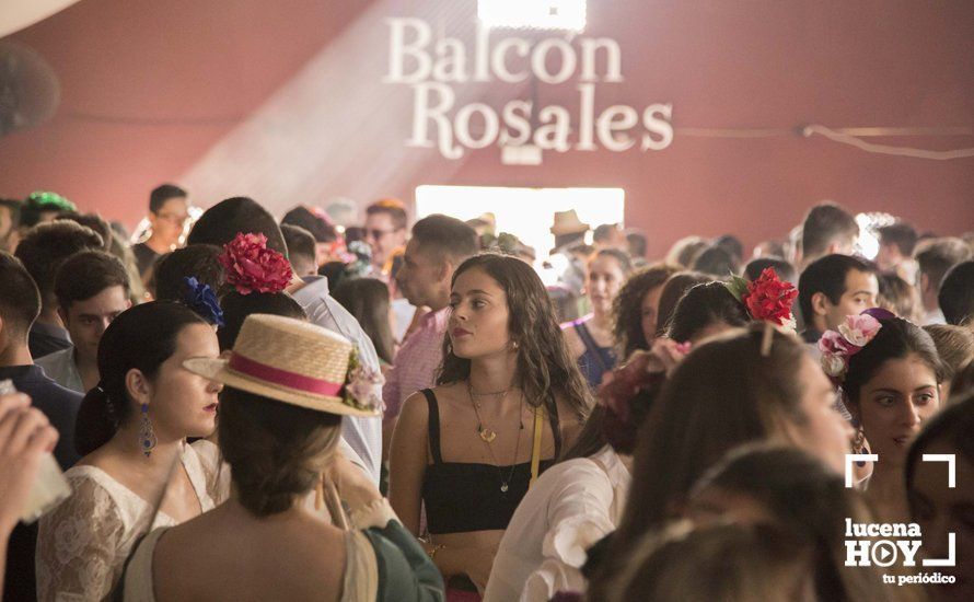 GALERÍA: Feria de día: Del real a las casetas pasando por el paseo de caballos en 80 imágenes GALERÍA: Feria de día: Del real a las casetas pasando por el paseo de caballos en 80 imágenes