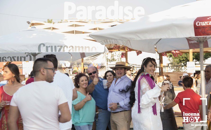 GALERÍA: Feria de día: Del real a las casetas pasando por el paseo de caballos en 80 imágenes GALERÍA: Feria de día: Del real a las casetas pasando por el paseo de caballos en 80 imágenes