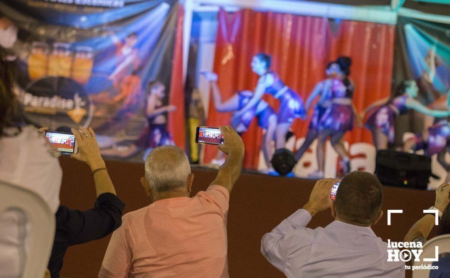 GALERÍA: La gala solidaria 'Lucena Baila' reúne a bailarines de una veintena de localidades andaluzas a beneficio del club de ocio de Amara