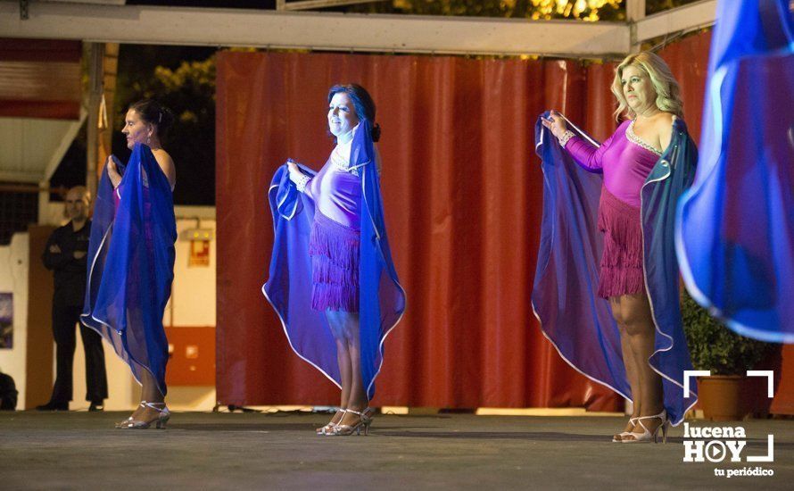 GALERÍA: La gala solidaria 'Lucena Baila' reúne a bailarines de una veintena de localidades andaluzas a beneficio del club de ocio de Amara