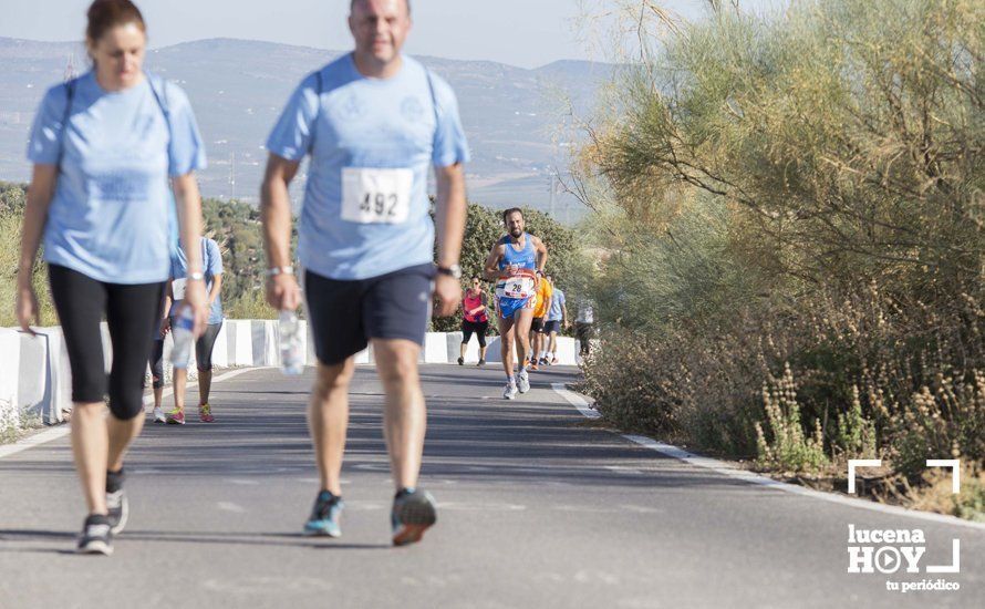 GALERÍA: I Carrera de Subida al Santuario de la Virgen de Araceli tiñe la sierra de azul GALERÍA: I Carrera de Subida al Santuario de la Virgen de Araceli tiñe la sierra de azul