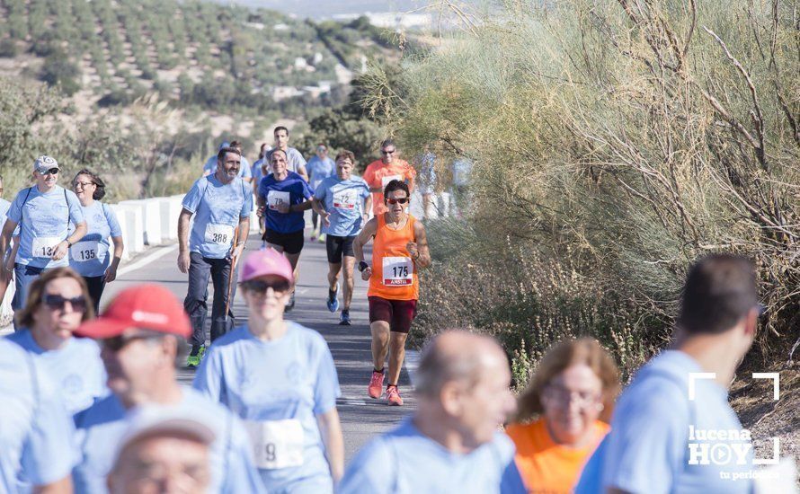 GALERÍA: I Carrera de Subida al Santuario de la Virgen de Araceli tiñe la sierra de azul