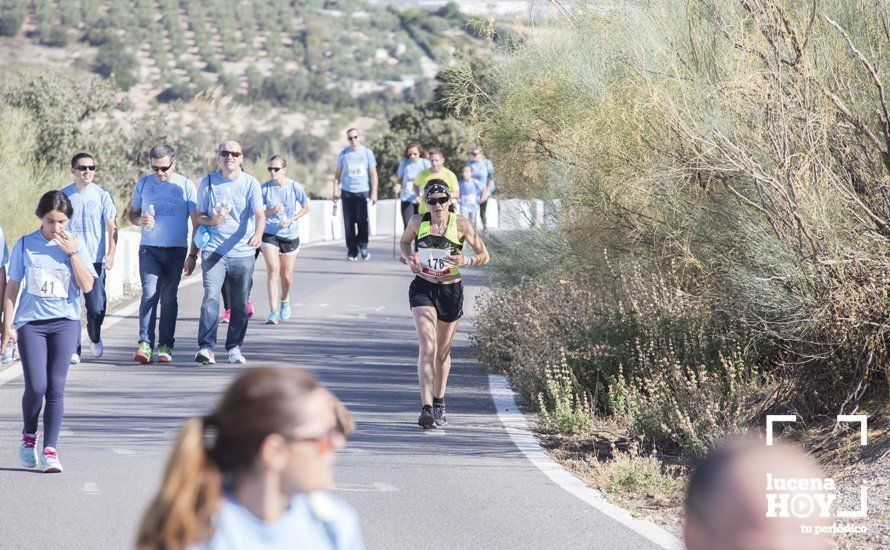 GALERÍA: I Carrera de Subida al Santuario de la Virgen de Araceli tiñe la sierra de azul