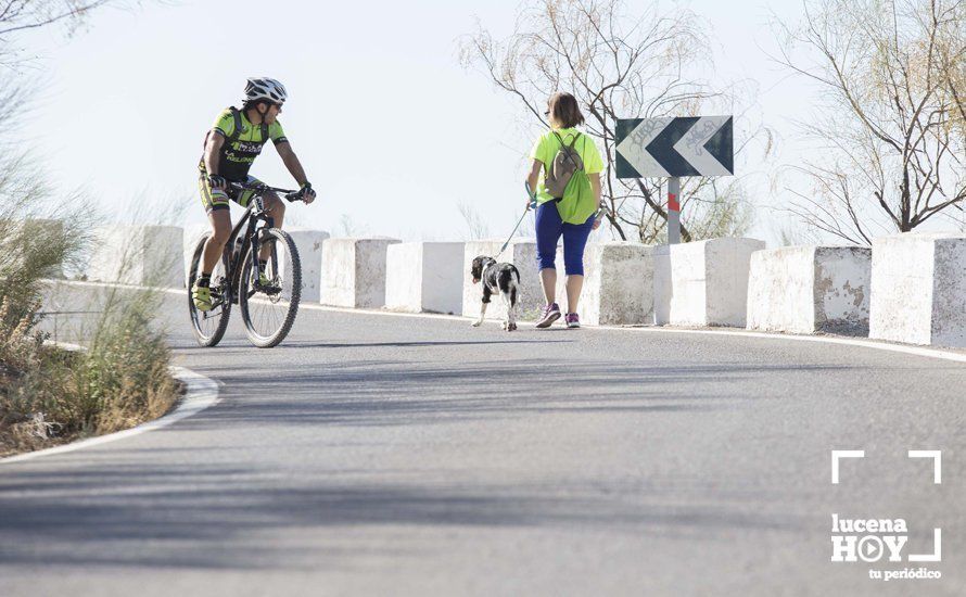 GALERÍA: I Carrera de Subida al Santuario de la Virgen de Araceli tiñe la sierra de azul