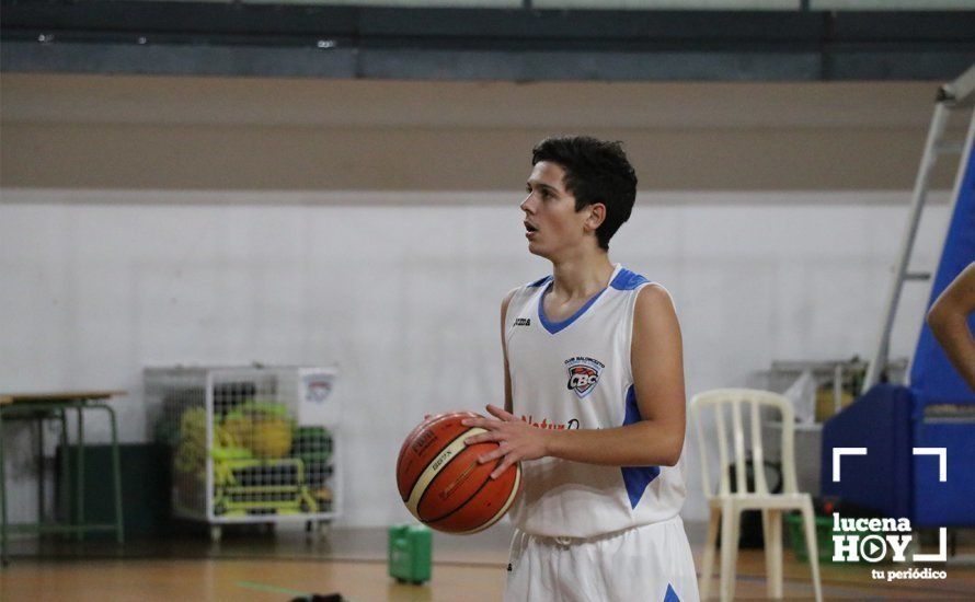 GALERÍA: El Club Baloncesto Lucena estrena su casillero de victorias tras imponerse por 87-47 al Guadalmestic Bujalance