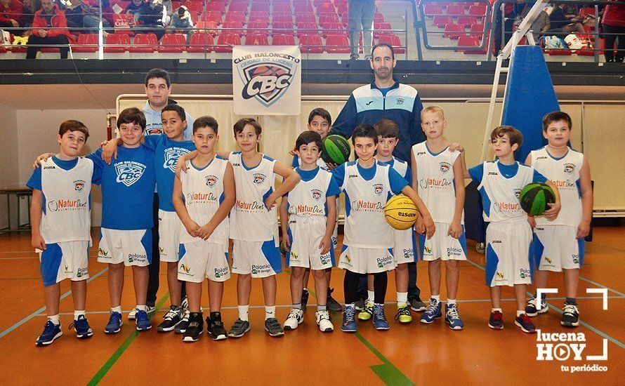 GALERÍA: Fiesta del Club Baloncesto 'Ciudad de Lucena' con la presentación oficial y la victoria senior frente a Fernán Núñez por un contundente 80-36