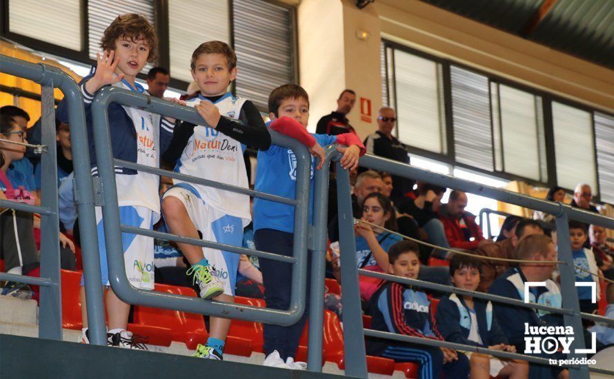 GALERÍA: Fiesta del Club Baloncesto 'Ciudad de Lucena' con la presentación oficial y la victoria senior frente a Fernán Núñez por un contundente 80-36