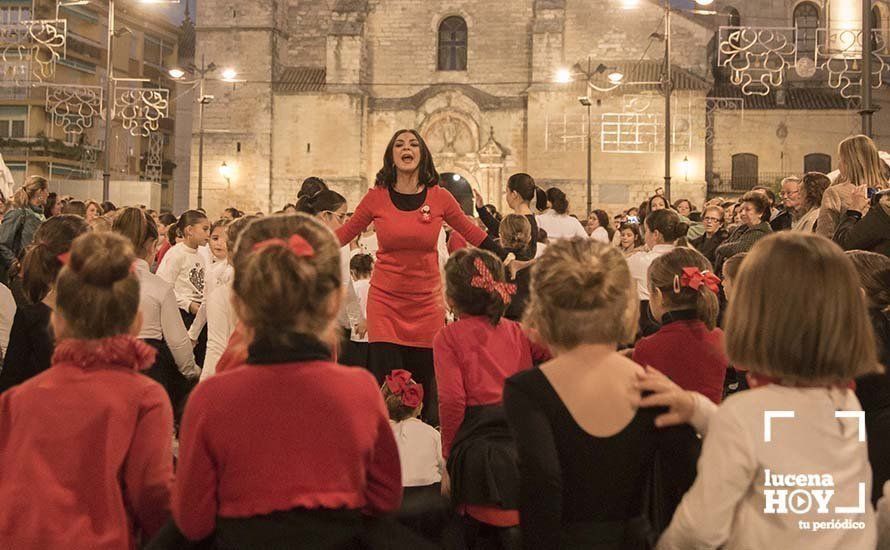 GALERÍA: Luz, color y mucho arte para celebrar en Lucena el Día Mundial del Flamenco