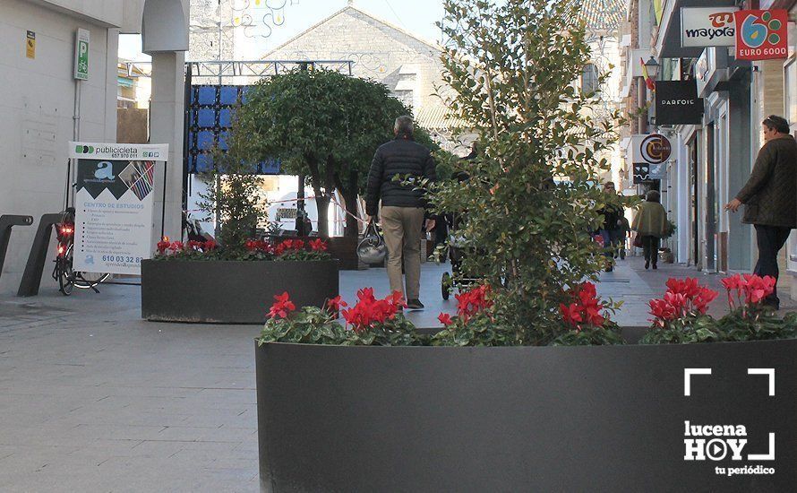  Maceteros colocados en uno de los accesos a la Plaza Nueva para impedir el acceso de vehículos 