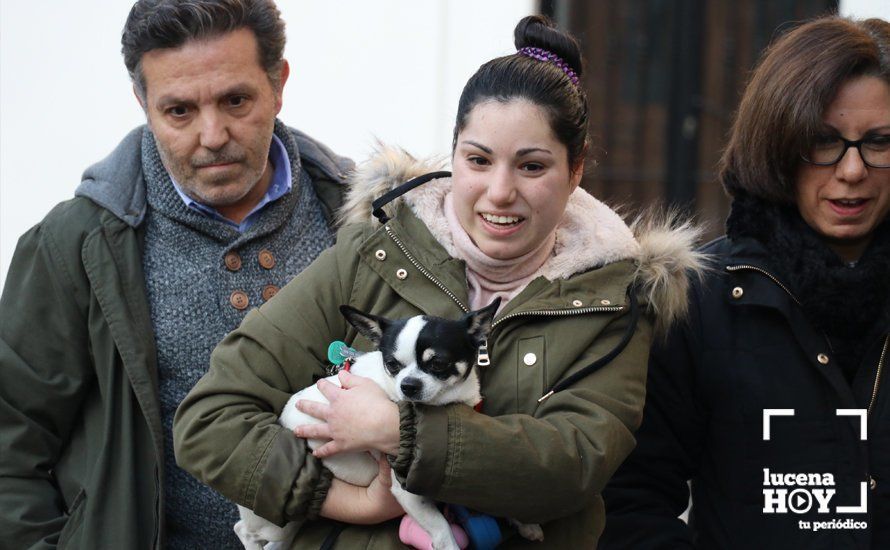 GALERÍA: Las mascotas reciben el agua bendita de San Antón en el llanete de Santiago