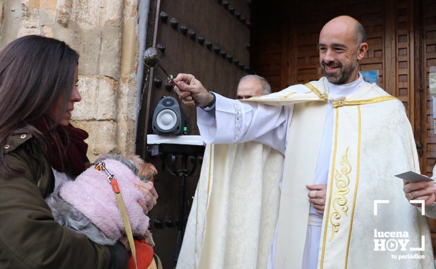GALERÍA: Las mascotas reciben el agua bendita de San Antón en el llanete de Santiago GALERÍA: Las mascotas reciben el agua bendita de San Antón en el llanete de Santiago
