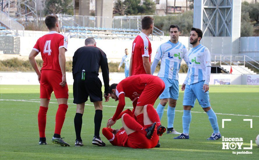 GALERÍA: El Ciudad de Lucena destroza al Utrera por cuatro goles a cero en otro gran partido